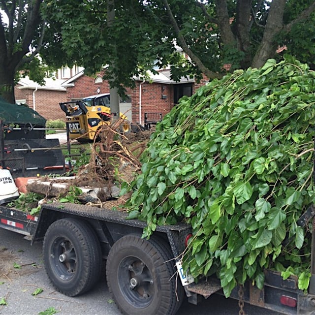 Plant removed from a garden using machinery.